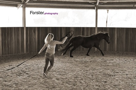 Junge Frau beim Longieren mit einem schwarzen Pferd bei einem Fotoshooting in Iserlohn.