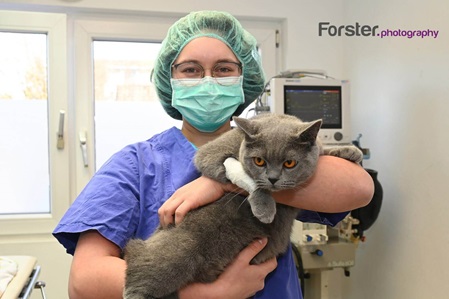 Tierärztin im OP mit Katze als professionelles Mitarbeiterfoto von Forster Photography in Iserlohn